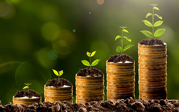 Stacks of coins with plants growing