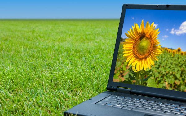 A laptop showing a photo of a flower
